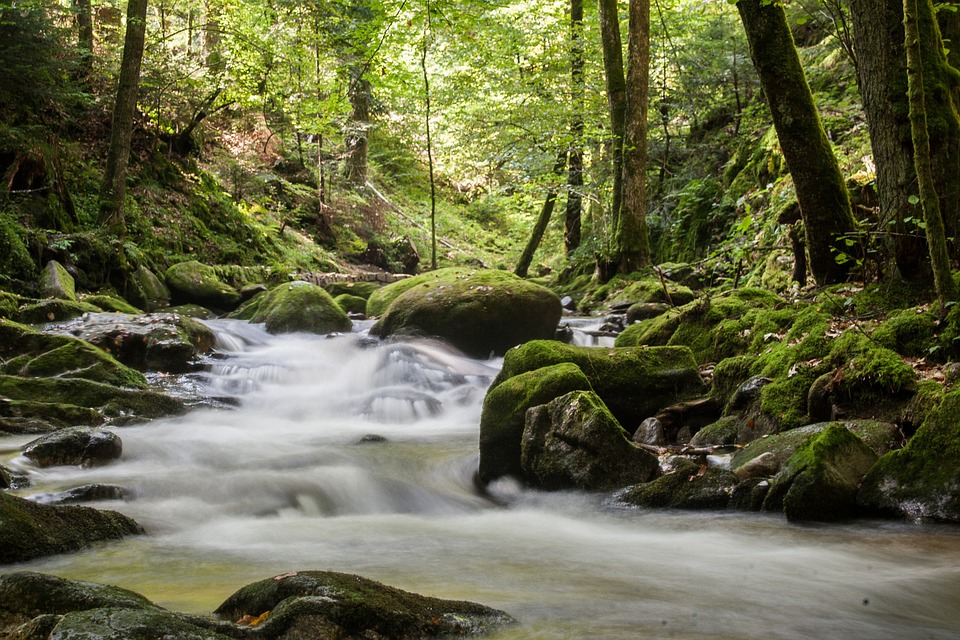 Volontariat Environnement en Bretagne