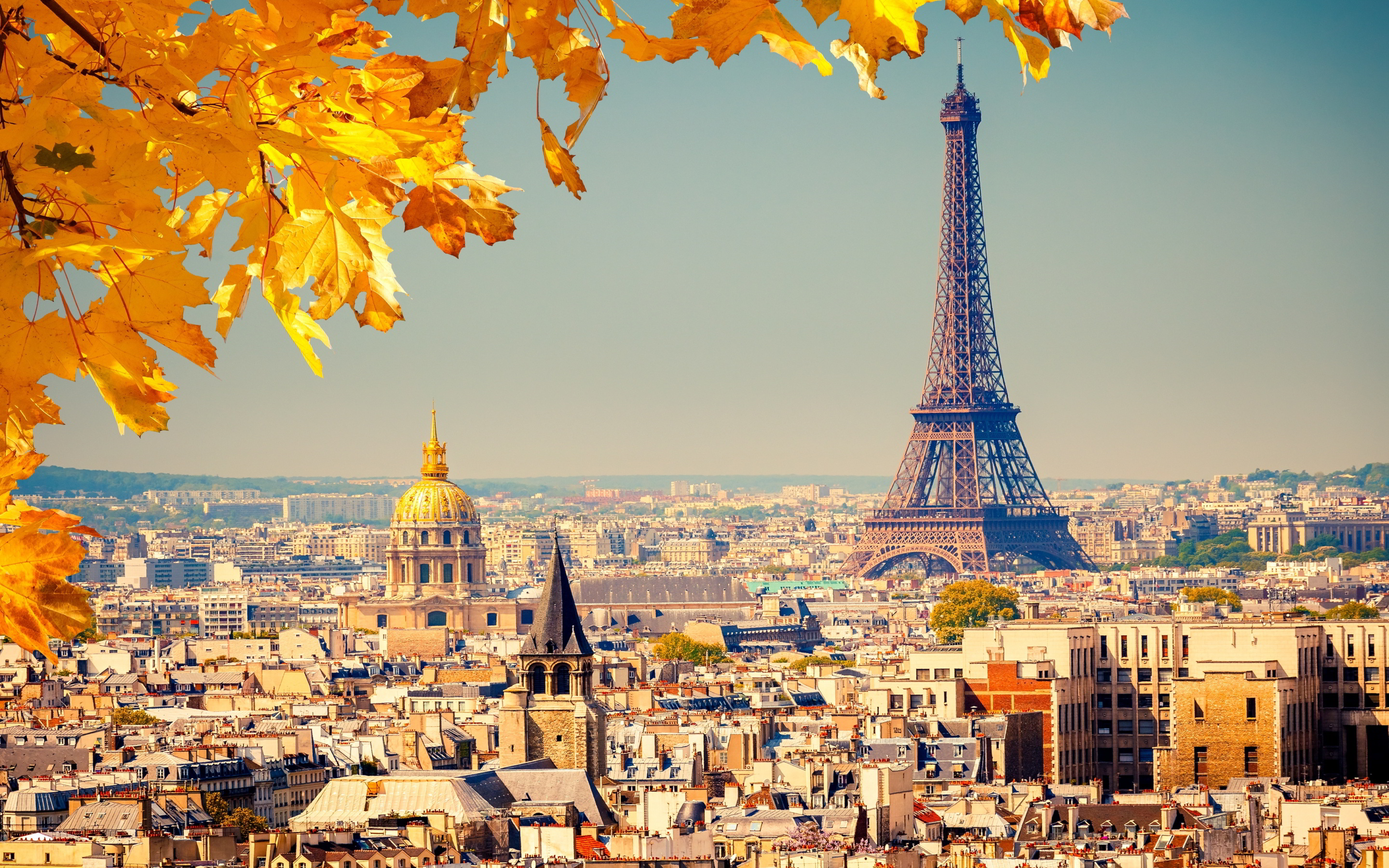 New French language courses in October