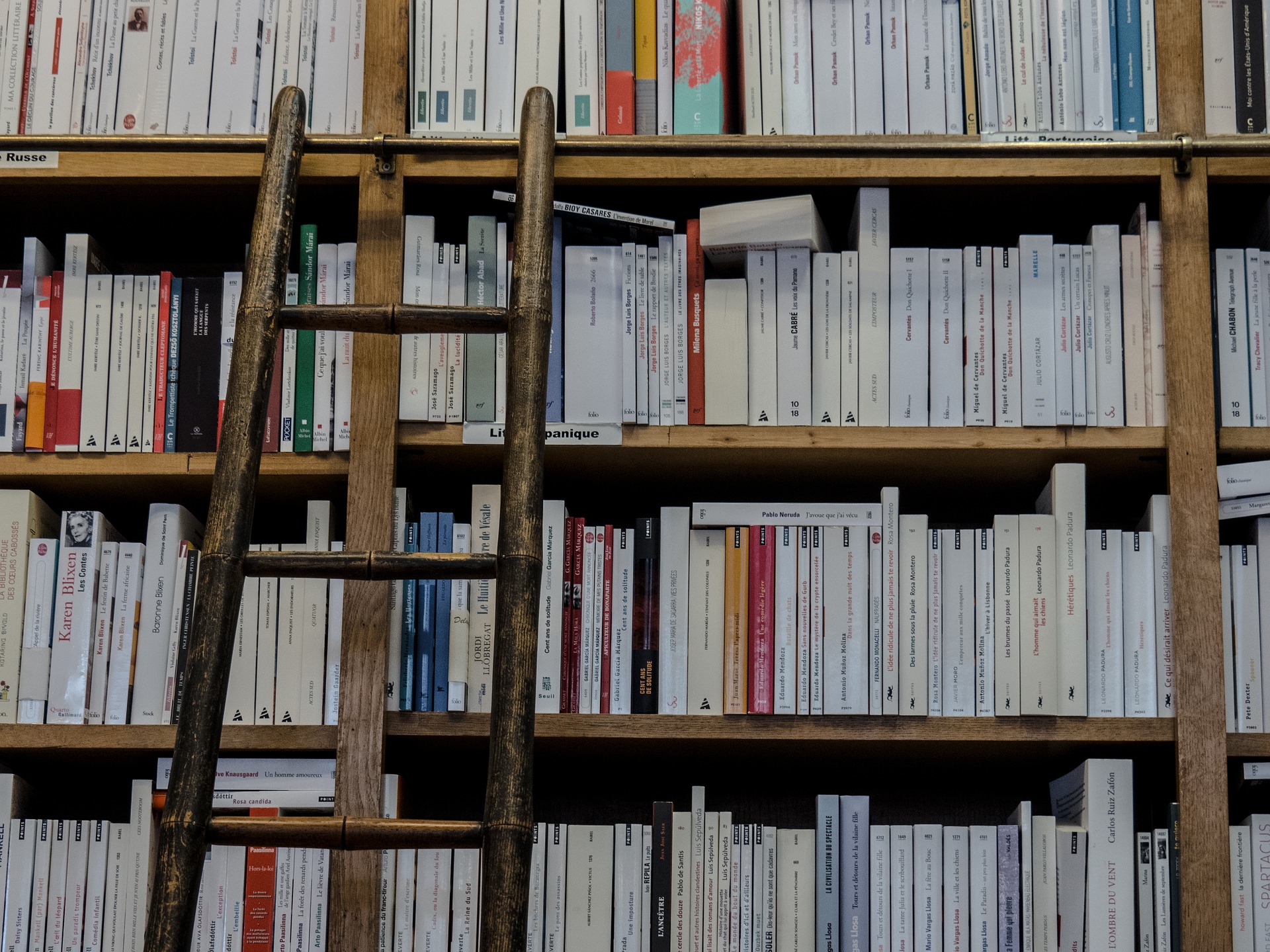 5 livres pour l&rsquo;été
