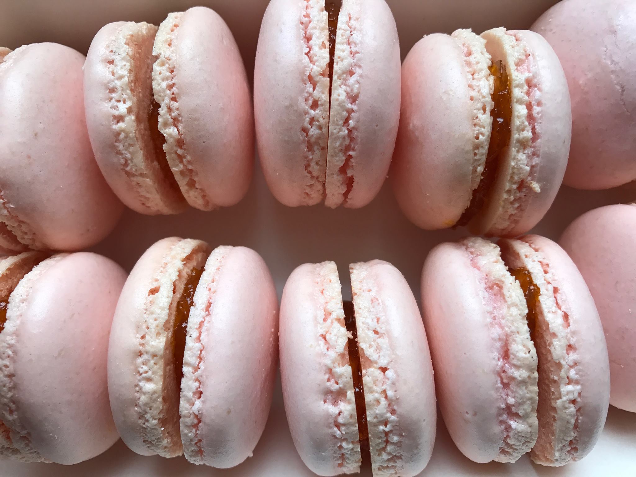 Le « Cirque du macaron » rejoint les partenaires de la carte IF Pass