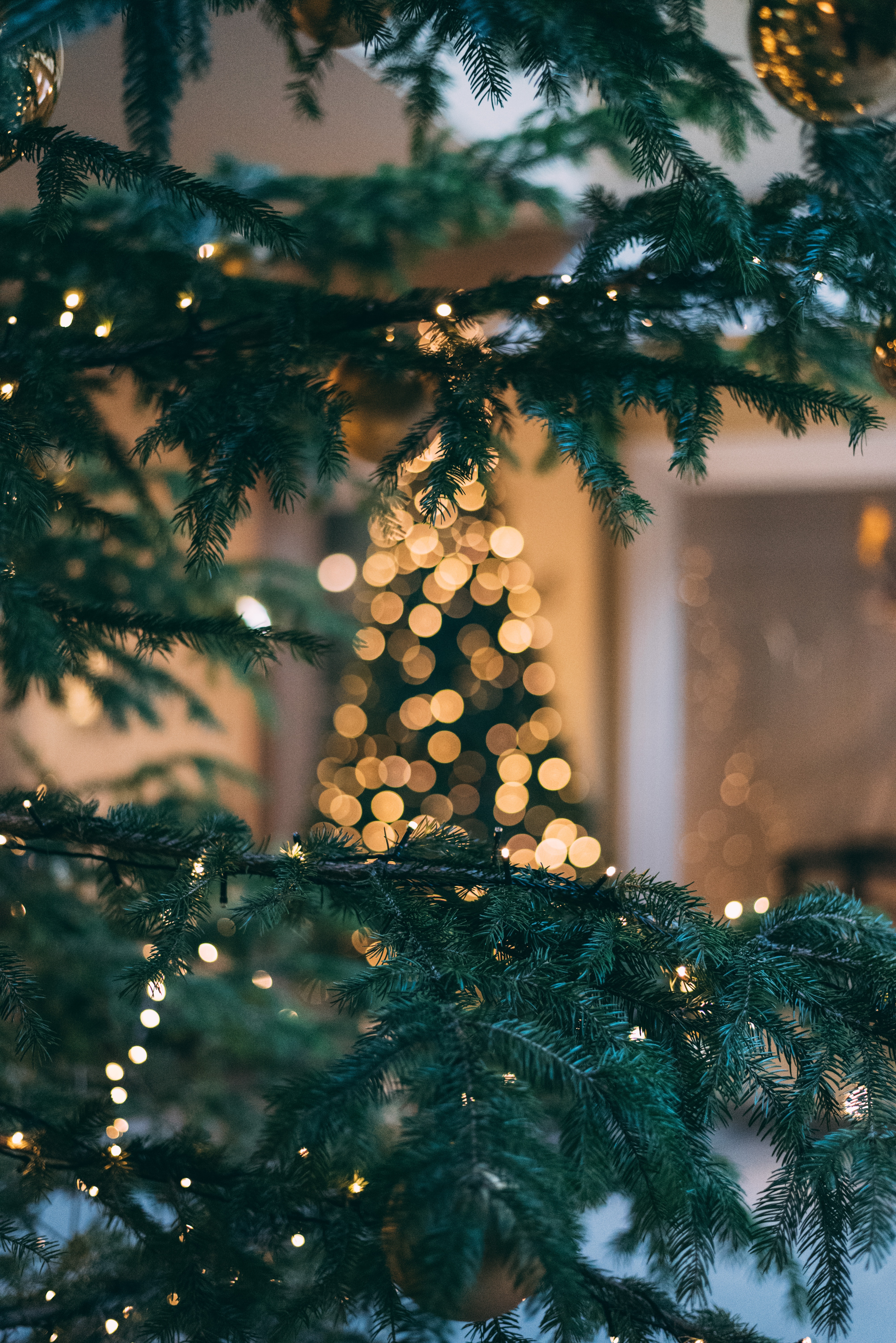 Apéro de Noël avec l&rsquo;Institut français et l&rsquo;Ambassade