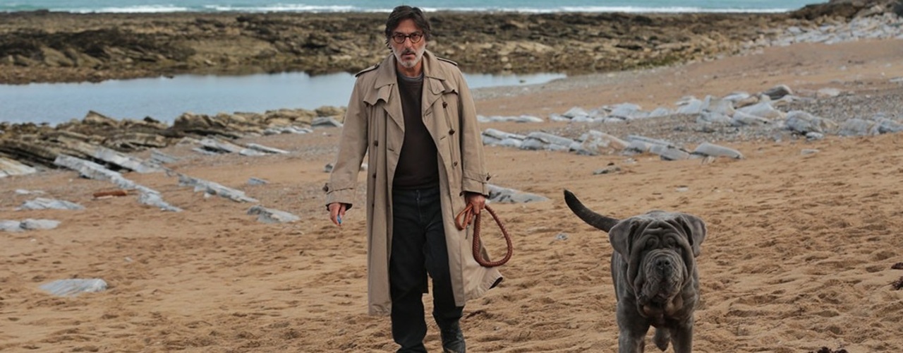 L&rsquo;année 2020 commence avec 4 nouvelles comédies françaises au cinéma Artis !