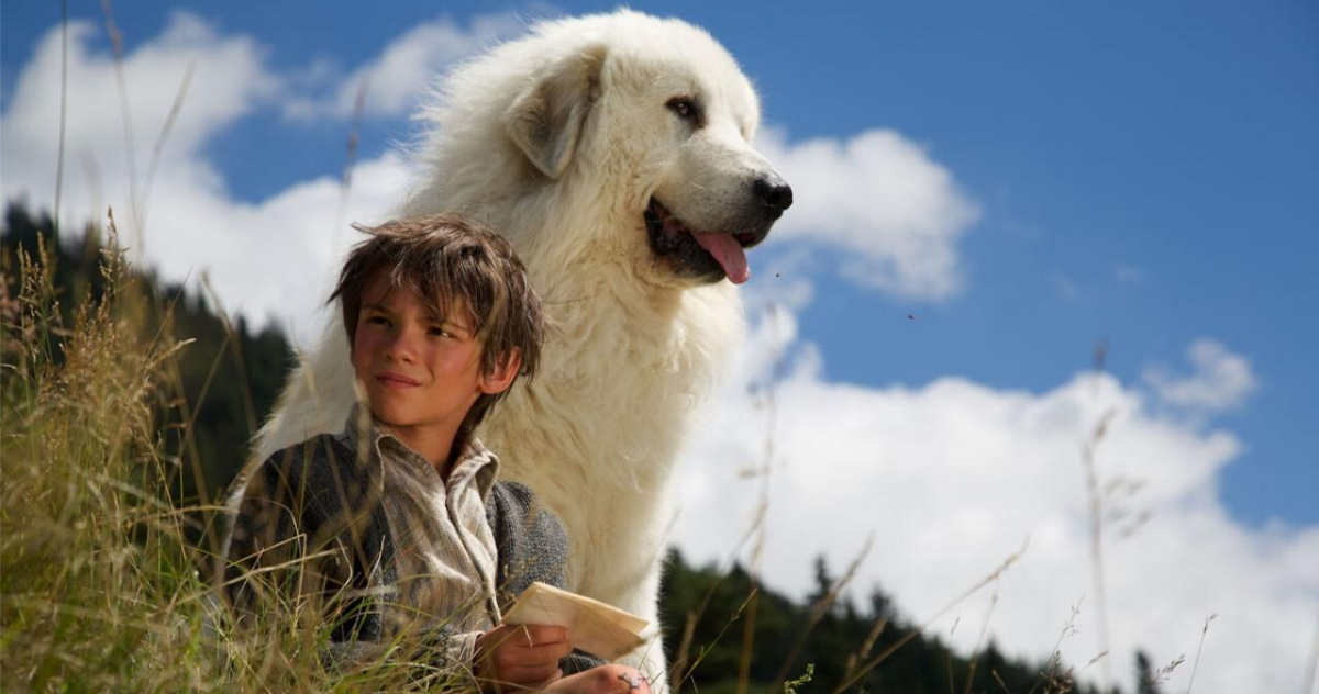 Films français à la télévision estonienne