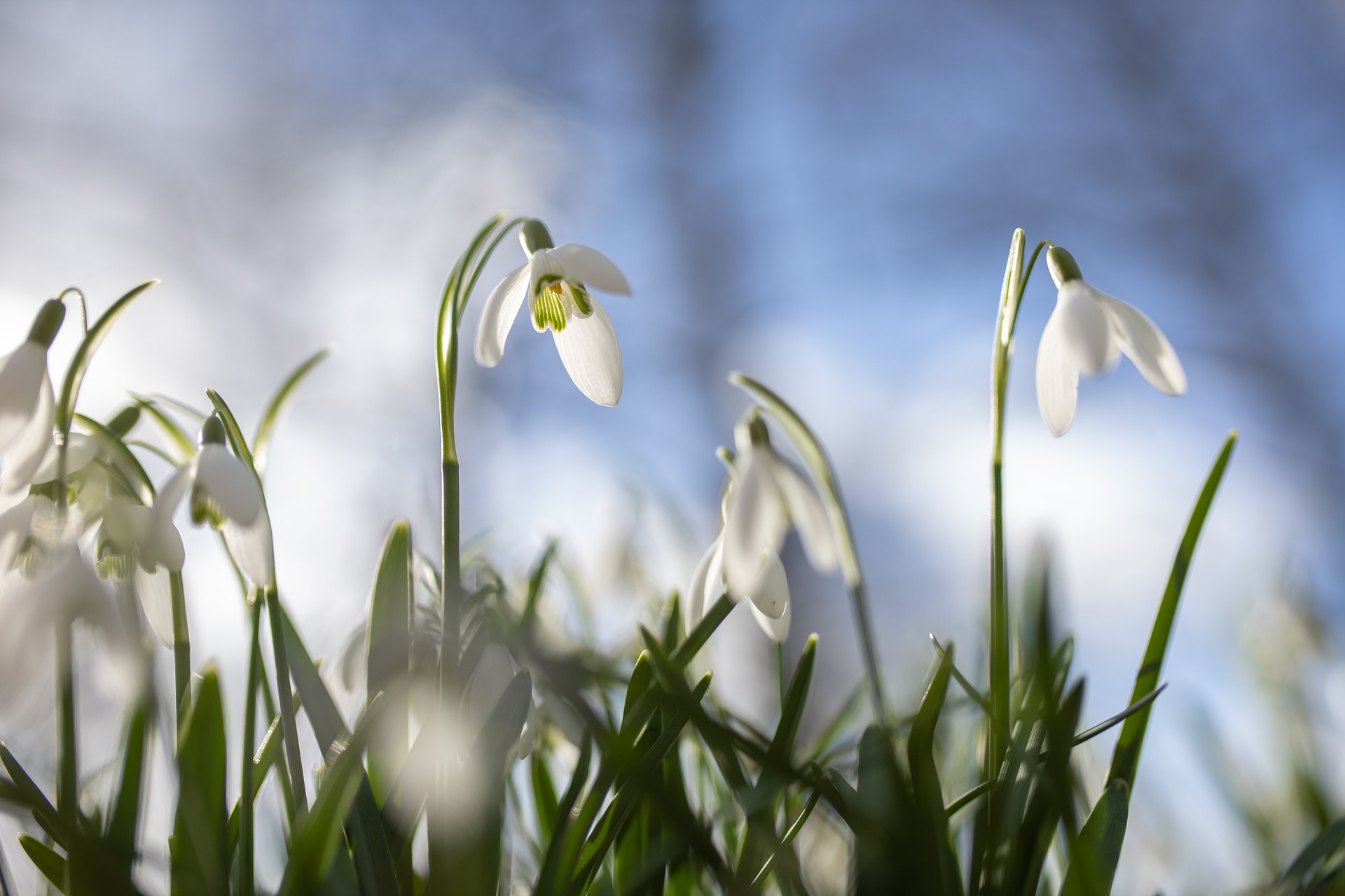 Atelier pour les enfants :  C&rsquo;est le printemps !