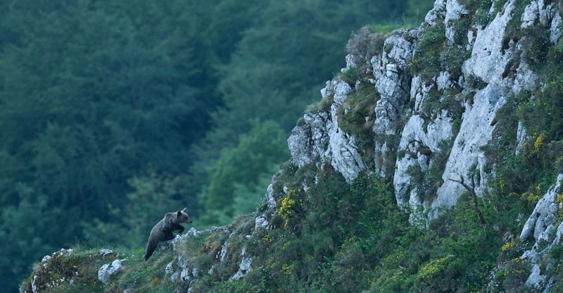 Documentaires français au Festival du film de nature de Matsalu