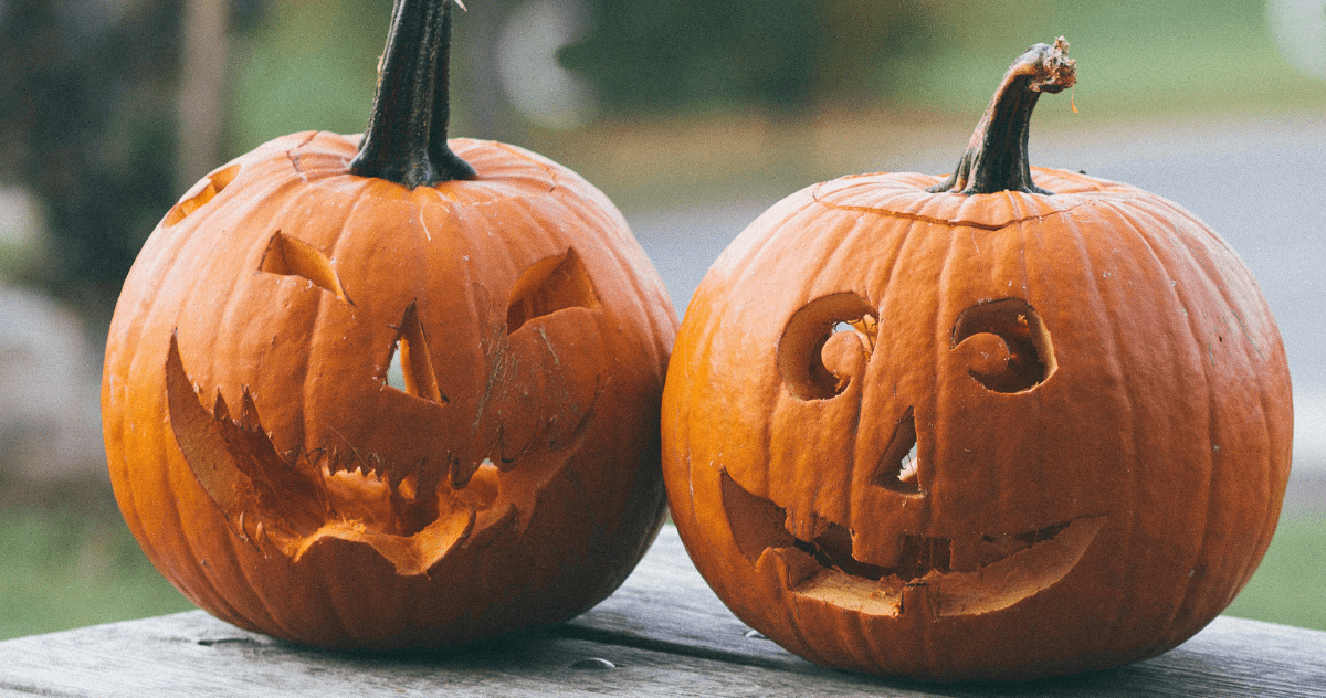 Atelier d’Halloween : à l’école des petits sorciers français