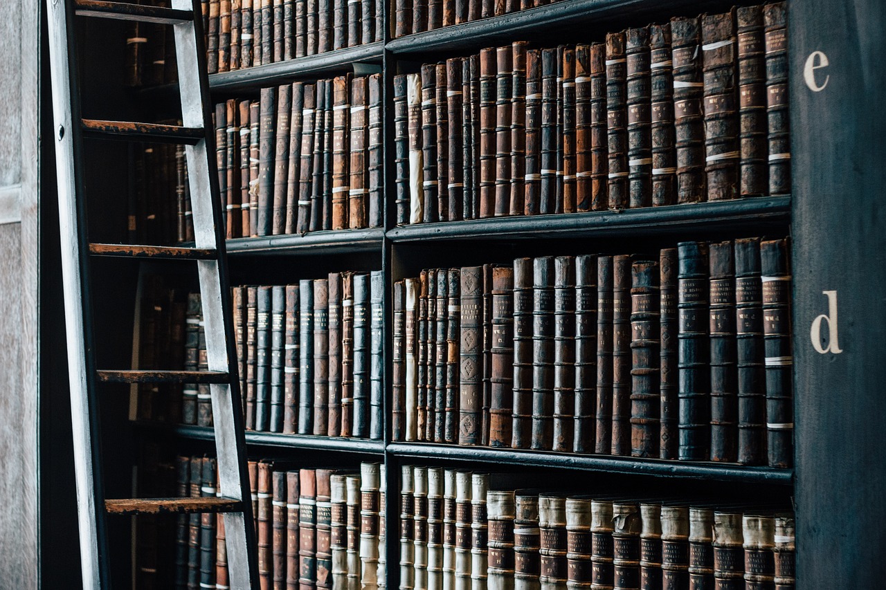 Les 15 livres français de l&rsquo;année pour comprendre le numérique