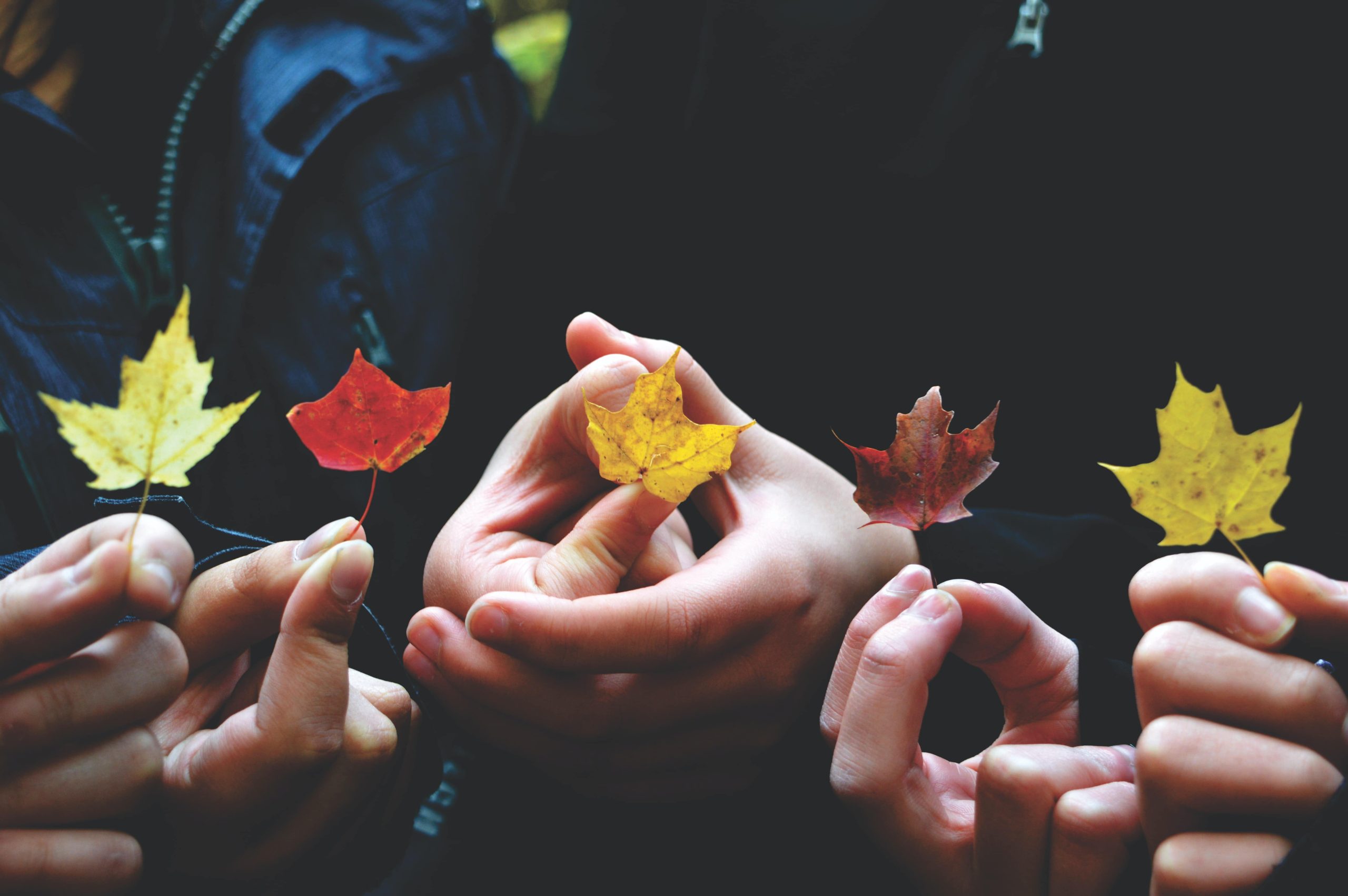 Atelier d&rsquo;automne pour enfants