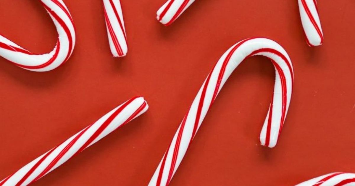 Magie de Noël pour les enfants