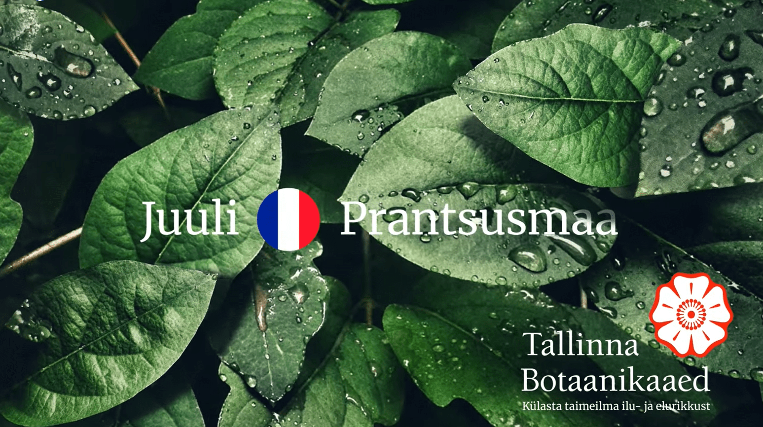 Juillet, mois de la culture française au Jardin botanique de Tallinn