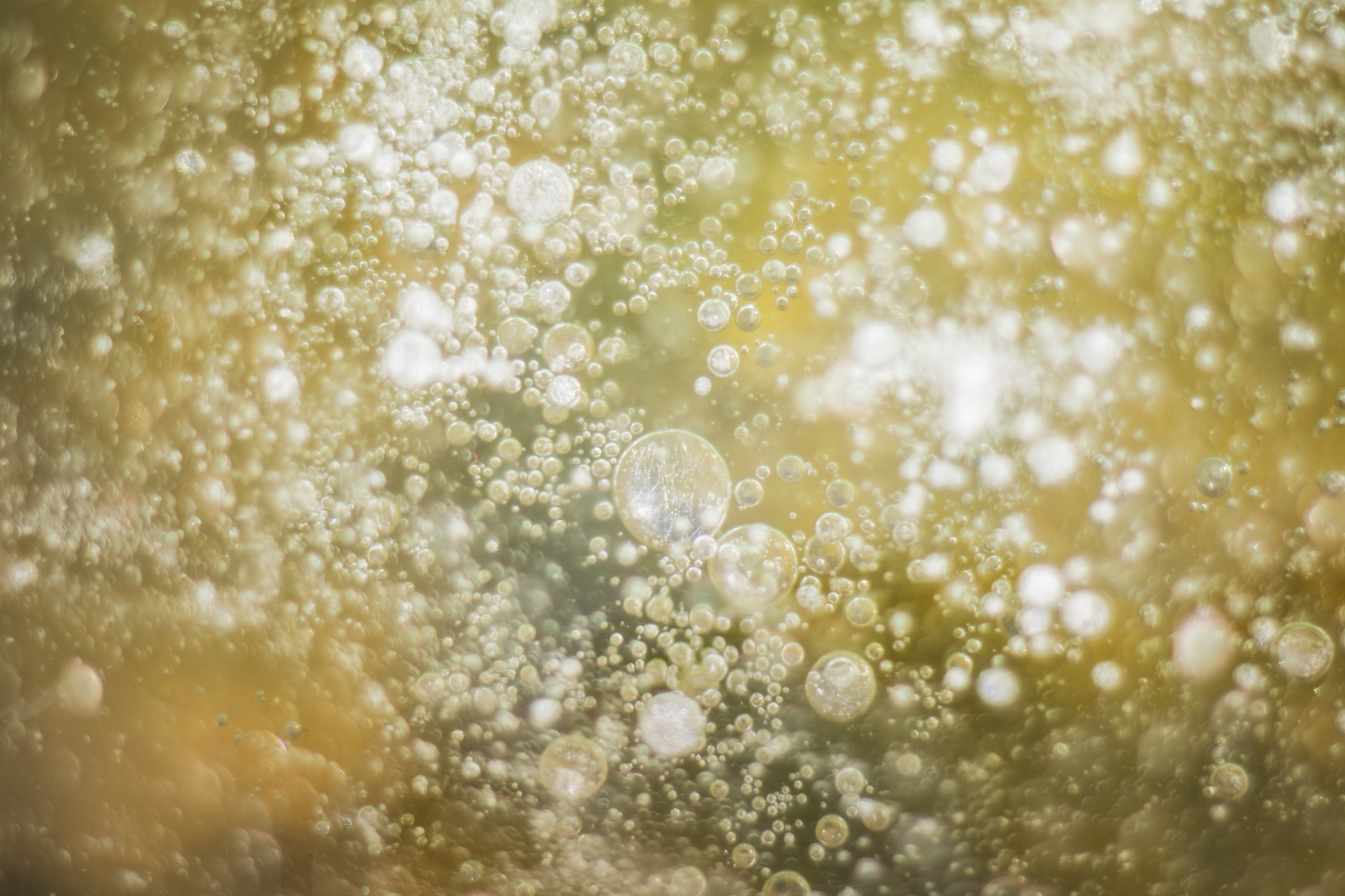 Atelier du vin : le champagne