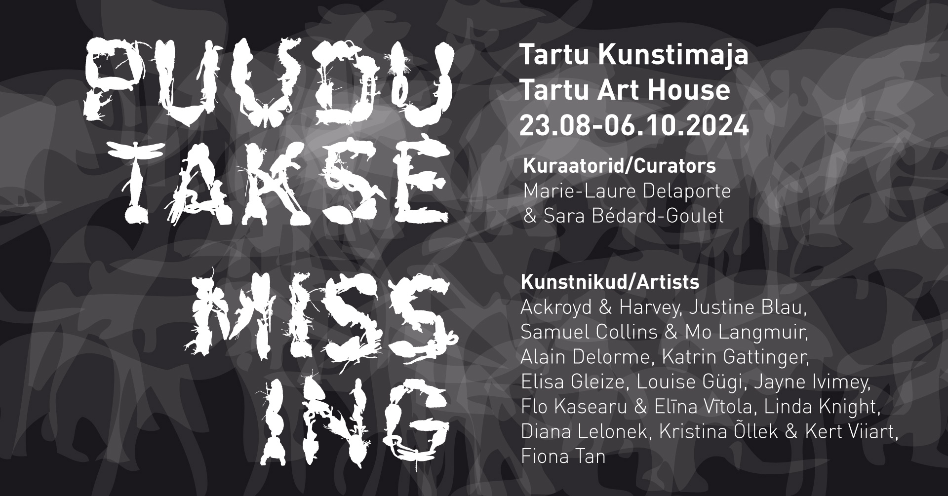 L&rsquo;exposition « Missing » | Tartu 2024