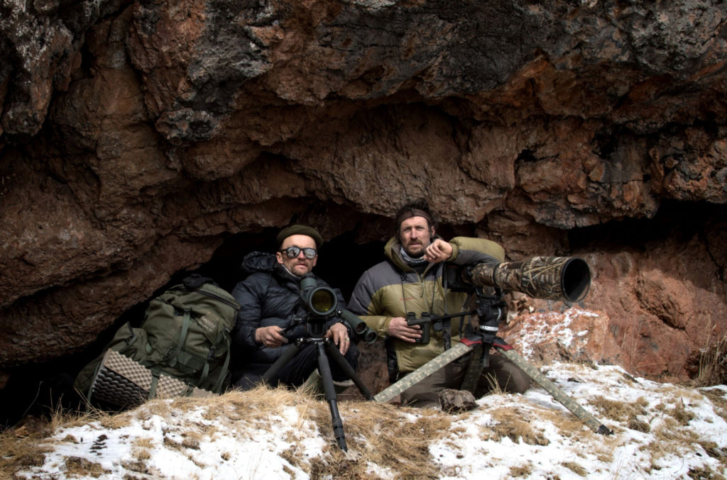 Ciné Club de l’Institut : La panthère des neiges